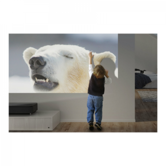 Epson | EH-LS800W | 4K PRO-UHD 3840 x 2160 (2 x 1920 x 1080) | 4000 ANSI lumens | Black | Lamp warranty 12 month(s)