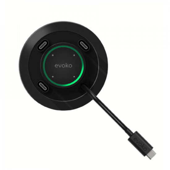 Evoko Delo Connection Manager | Delo Connection Manager