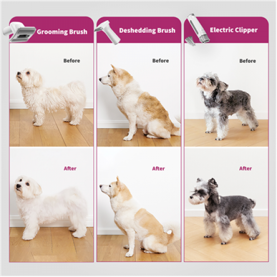 PETKIT | Air Clipper Pet Grooming Vacuum Kit 5in1 | LM4 | Grey/White