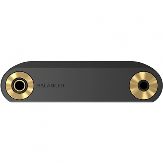 Sony | Walkman Digital Media Player | NW-WM1AM2 | Bluetooth | Internal memory 103 GB | USB connectivity | Wi-Fi