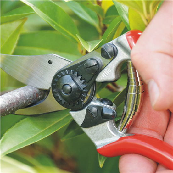 Felco | One-hand pruning shear | FELCO 6