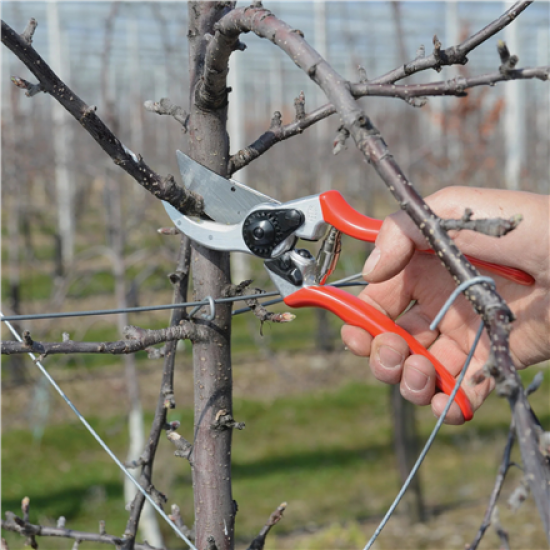 Felco | One-hand pruning shear | FELCO 2