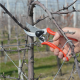 Felco | One-hand pruning shear | FELCO 2