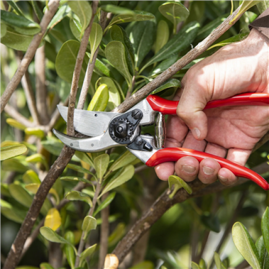 Felco | One-hand pruning shear | FELCO 2