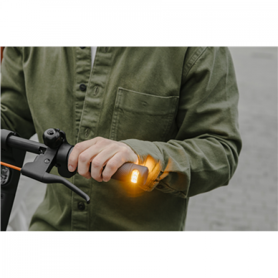 Ninebot by Segway Kickscooter F2 E, Black | Segway | Kickscooter F2 E | Up to 25 km/h | 10 