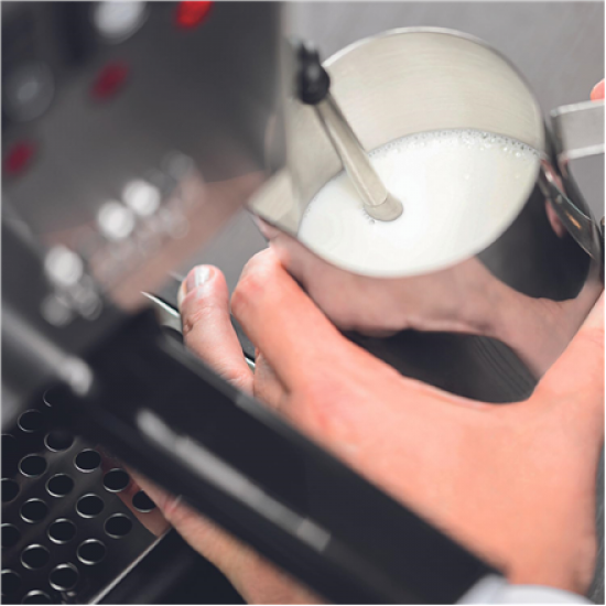 Gaggia | Coffee Maker | RI9481/11 Classic E24 | Pump pressure 15 bar | Built-in milk frother | Semi-automatic | Brushed Stainless Steel