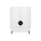 Adler | AD 7972 | Humidifier | 23 W | Water tank capacity 4 L | Suitable for rooms up to 35 m² | Ultrasonic | Humidification capacity 150-300 ml/hr | White