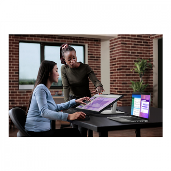 Dell | Touch Monitor | P2424HT | 24 