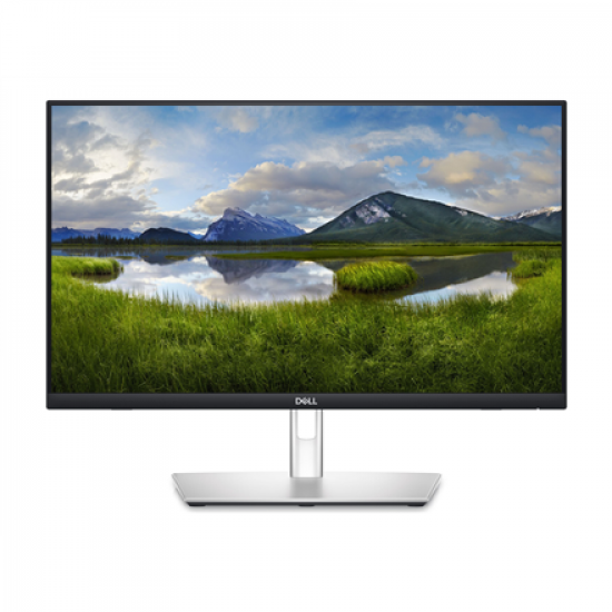 Dell | Touch Monitor | P2424HT | 24 
