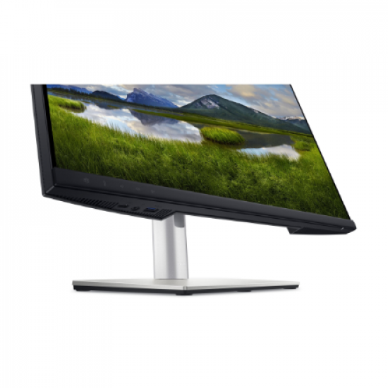 Dell | Monitor | P2424HEB | 24 
