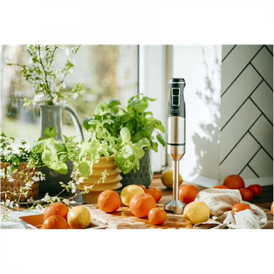 Adler | Hand Blender | AD 4628 | Hand Blender | 1900 W | Number of speeds 1 | Turbo mode | Ice crushing | Stainless Steel/Black