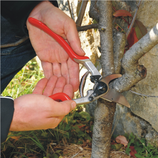Felco | One-hand pruning shear | FELCO 13