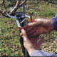 Felco | One-hand pruning shear | FELCO 13