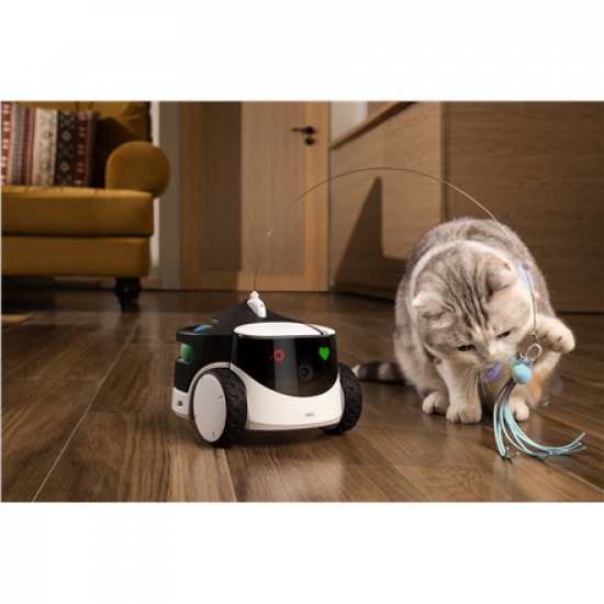 Enabot | Family Robot IP Camera | ROLA PetPal