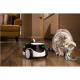 Enabot | Family Robot IP Camera | ROLA PetPal
