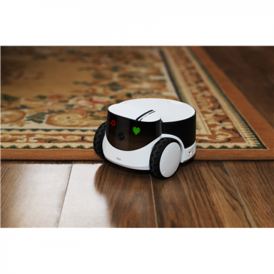 Enabot | Family Robot IP Camera | ROLA PetPal
