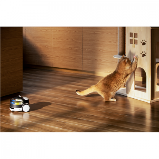 Enabot | Family Robot IP Camera | ROLA PetPal