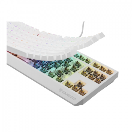 Genesis | THOR 230 | Mechanical Gaming Keyboard | Wired | US | White | USB-A | Outemu Brown