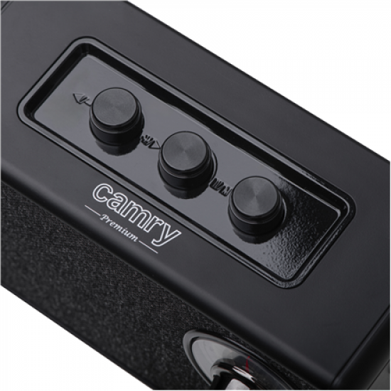 Camry | Speaker with radio | CR 1902 B | Black | Wireless connection