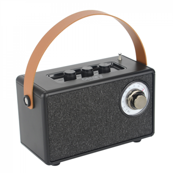 Camry | Speaker with radio | CR 1902 B | Black | Wireless connection