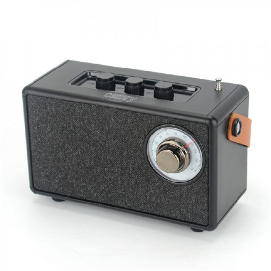 Camry | Speaker with radio | CR 1902 B | Black | Wireless connection