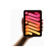 Apple | iPad mini Wi-Fi + Cellular | 8.3 