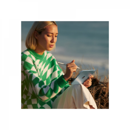 Apple iPad Mini (A17 Pro) | 8.3 