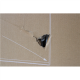 SALE OUT. Xiaomi | G34WQi | 34 