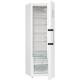 Gorenje Refrigerator | R619EAW6 | Energy efficiency class E | Free standing | Larder | Height 185 cm | Fridge net capacity 398 L | Display | 38 dB | White