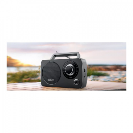 Muse | Portable Radio | M-075 R | AUX in