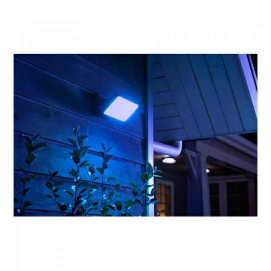 Philips Hue WCA Discover Outdoor Floodlight | 2000-6500 Hue White Colour Ambiance