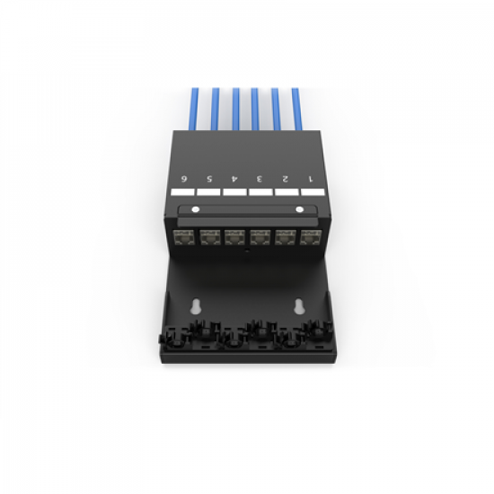 Digitus Consolidation point box, 6-port Keystone modules with intelligent cable manager | DN-93708-6