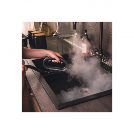 Polti | Steam cleaner | PTEU0317 Vaporetto Smart 110 Eco | Power 1500 W | Steam pressure 4 bar | Water tank capacity 2 L | White/Green