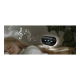Muse Alarm Clock | M-16 KIDS