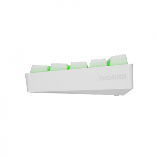 Genesis THOR 660 G2 | Gaming keyboard | Wireless/Wired | US | White | 2.4 GHz, Bluetooth, USB | Linear