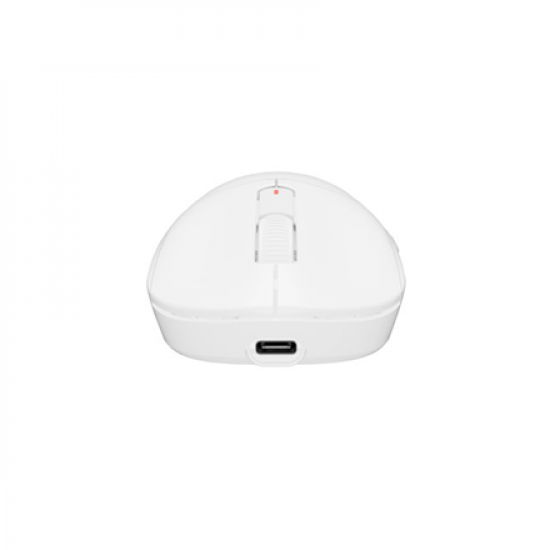 Fury | Gaming Mouse | Tanto T4 | Wired/Wireless | 2.4 GHz, Bluetooth, USB | White