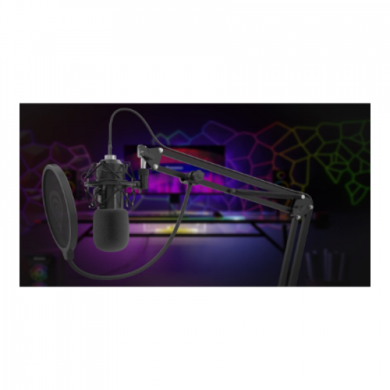 Genesis | Condenser Microphone | Radium 400 G2 | Black