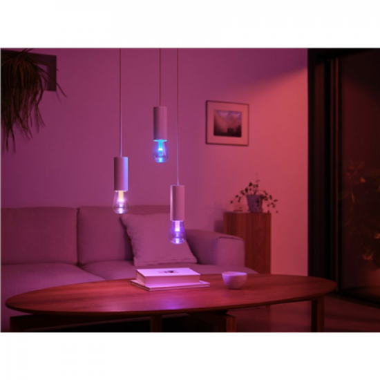 Philips Hue WCA Lightguide ST72 | E27 | 6.8 W | White and colour light