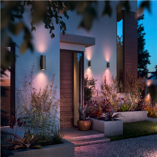 Philips Hue WCA Appear Outdoor Wall Lantern, Black | 8 W | 2000-6500 Hue White Colour Ambiance