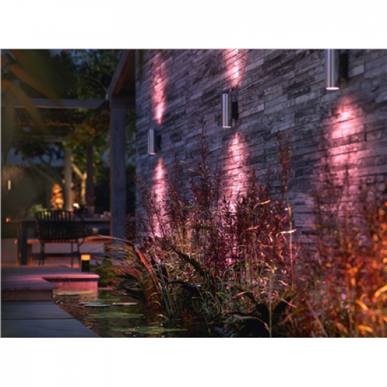 Philips Hue WCA Appear Outdoor Wall Lantern, Inox | 8 W | 2000-6500 Hue White Colour Ambiance