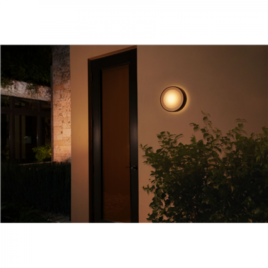 Philips Hue WCA Daylo Outdoor Wall Lantern, Black | 15 W | 2000-6500 Hue White Colour Ambiance