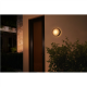 Philips Hue WCA Daylo Outdoor Wall Lantern, Black | 15 W | 2000-6500 Hue White Colour Ambiance