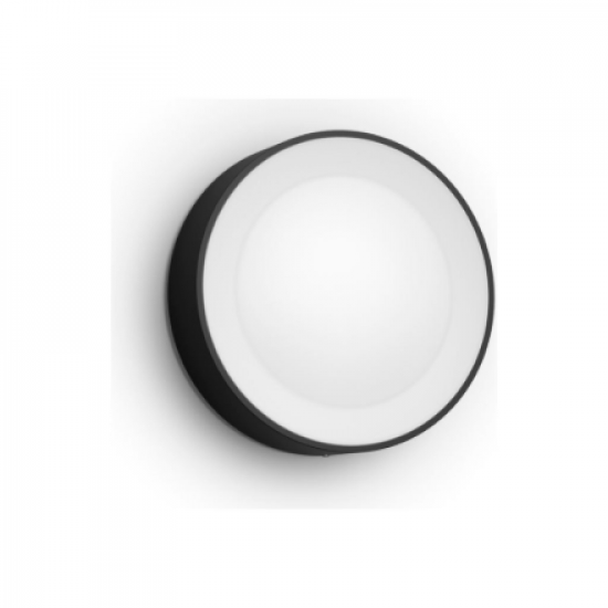 Philips Hue WCA Daylo Outdoor Wall Lantern, Black | 15 W | 2000-6500 Hue White Colour Ambiance