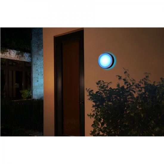 Philips Hue WCA Daylo Outdoor Wall Lantern, Inox | 15 W | 2000-6500 Hue White Colour Ambiance