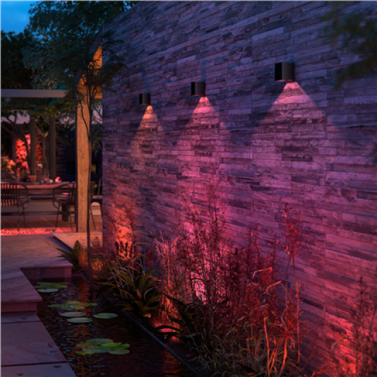 Philips Hue WCA Resonate Outdoor Downward Wall Lantern, Black | 8 W | 2000-6500 Hue White Colour Ambiance