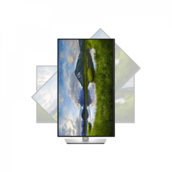 Dell | P2425DE | 24 