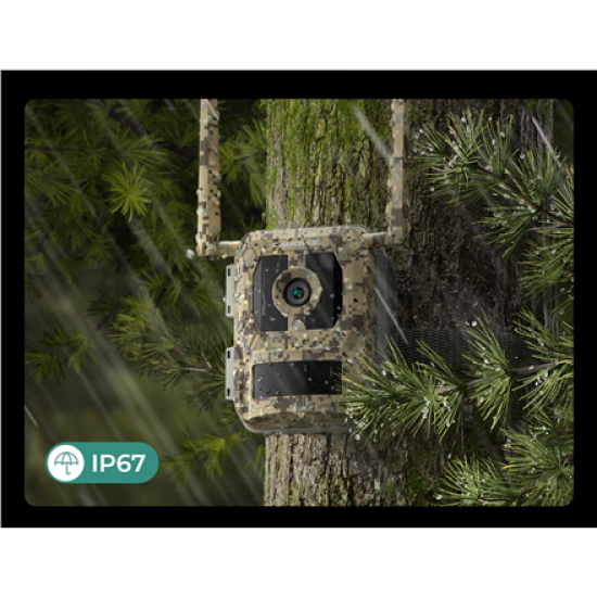 Reolink | 4K 4G Cellular Trail Camera with Live Streaming | Talon Series S130 | Trail | 8 MP | 4mm/F1.6 | IP67 | H.265 | MicroSD Card, up to 256 GB