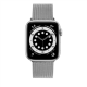 Fixed | Mesh Strap for Apple Watch 38/40/41mm | Silver