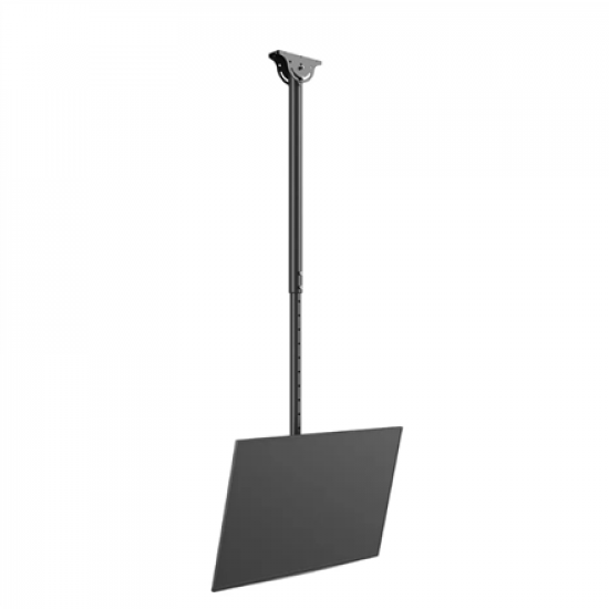 Neomounts CL35-340BL12 Monitor/TV mount Ceiling | Adjustable Height, Rotate, Tilt, Swivel | 23-42 