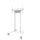 Neomounts Floor stand | FL55-875WH1 TV trolley | Adjustable Height | 55-100 